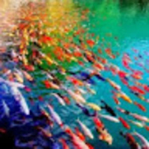 Meet your Posher, Dulce